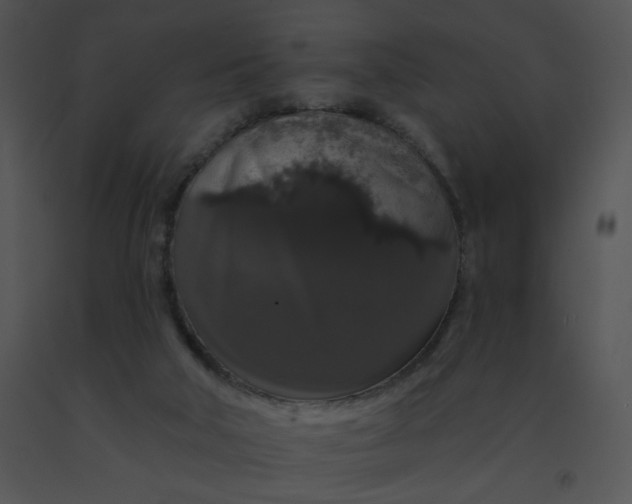 X0000091530018200708311320