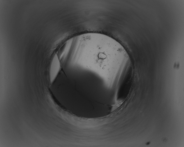 X0000091530019200708311320