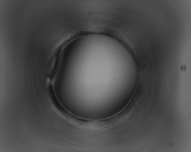 X0000091530020200708311320