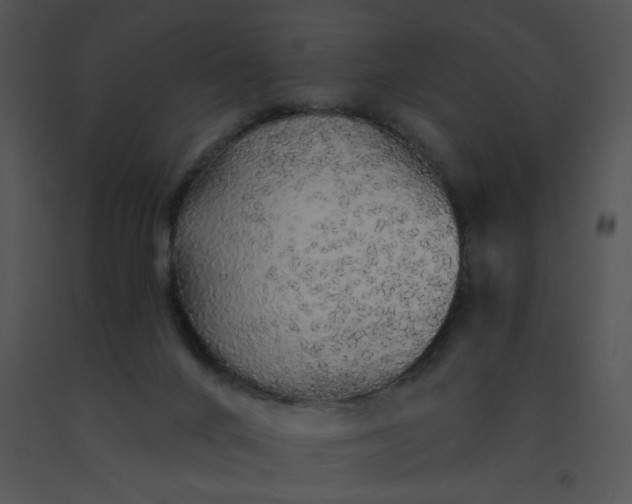 X0000091530024200708311320
