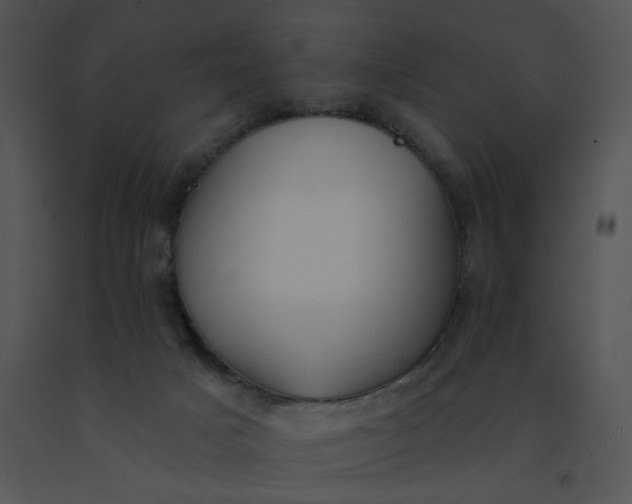 X0000091530025200708311320