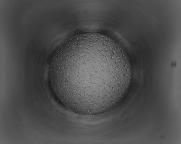 X0000091530026200708311320
