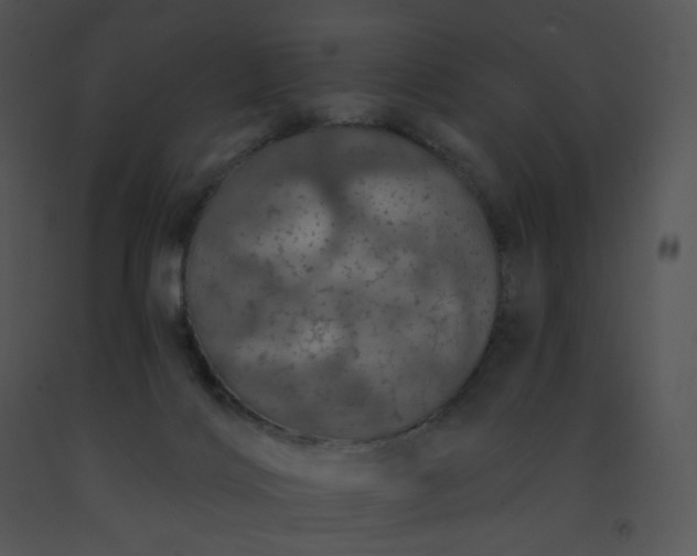 X0000091530028200708311320