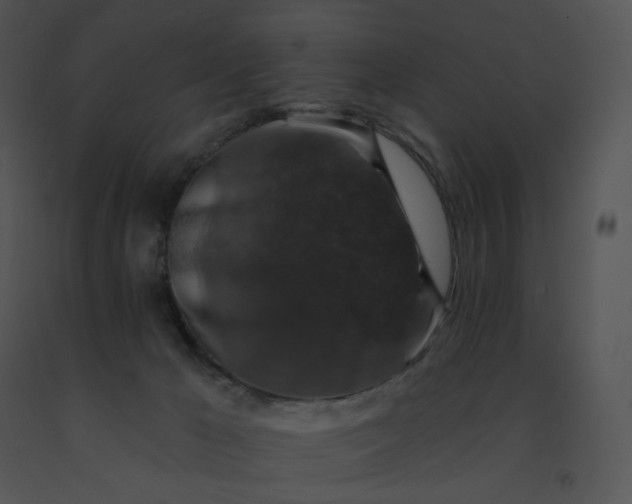 X0000091530029200708311320