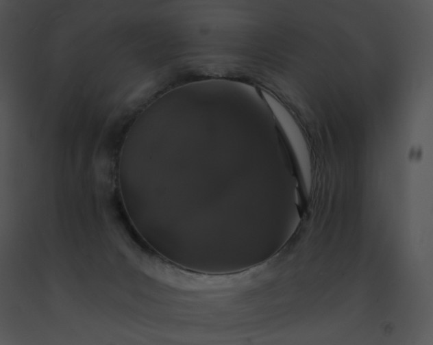 X0000091530031200708311320