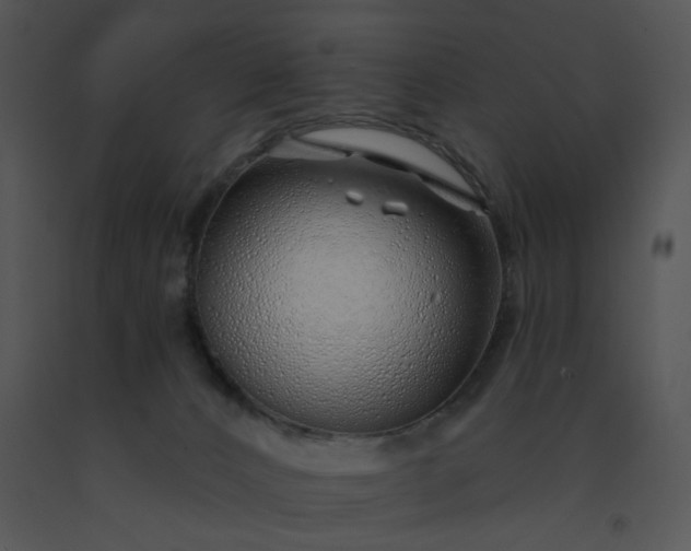 X0000091530032200708311320