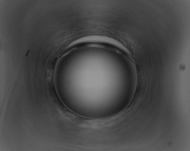 X0000091530033200708311320