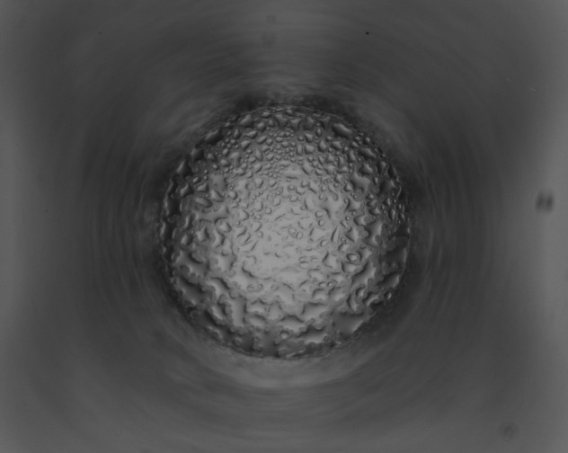 X0000091530034200708311320