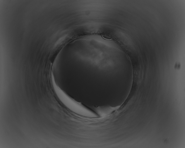 X0000091530035200708311320