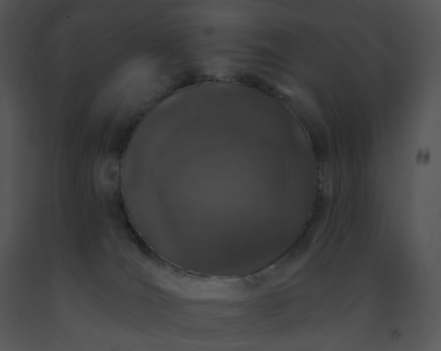 X0000091530036200708311320