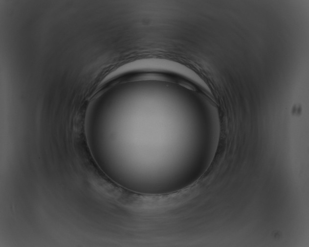 X0000091530037200708311320