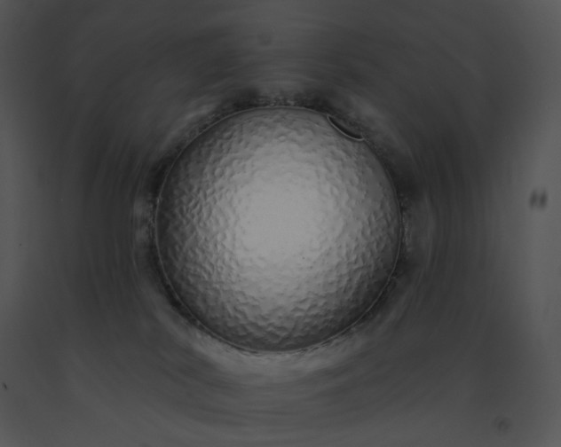 X0000091530038200708311320
