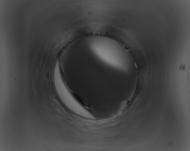 X0000091530039200708311320