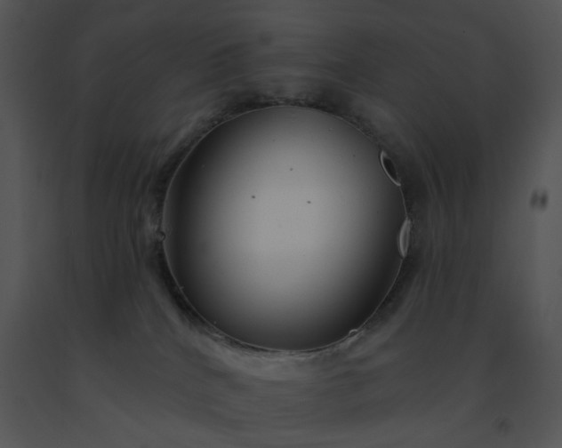 X0000091530040200708311320