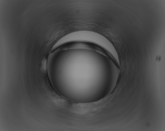 X0000091530041200708311320