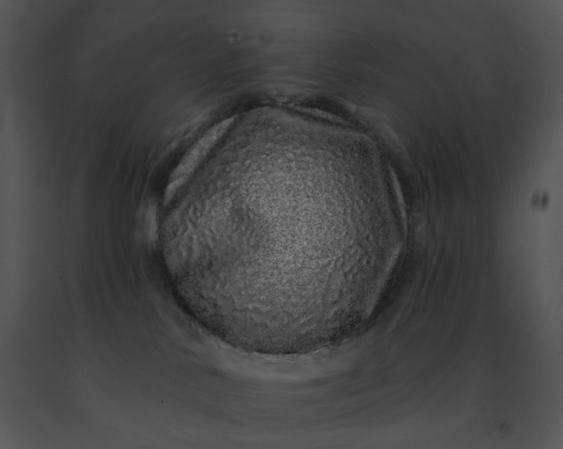 X0000091530042200708311320