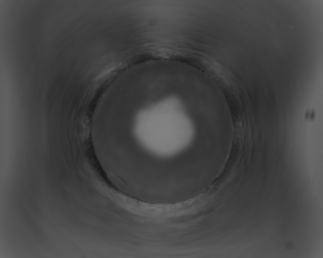 X0000091530043200708311320