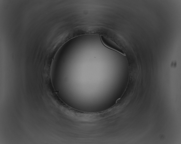 X0000091530044200708311320
