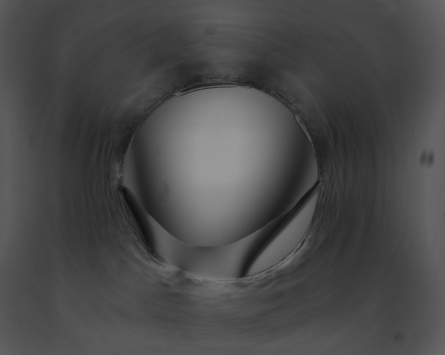 X0000091530045200708311320