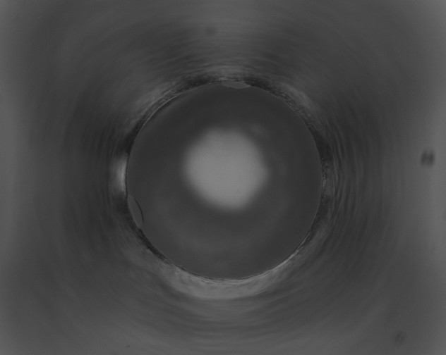 X0000091530047200708311320