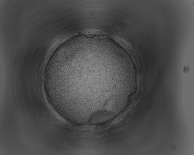 X0000091530049200708311319