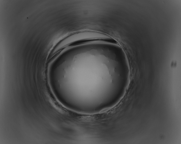 X0000091530050200708311319