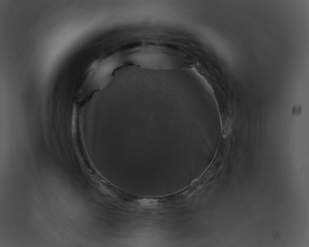 X0000091530052200708311319