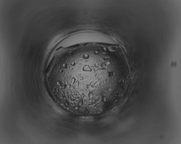 X0000091530053200708311319