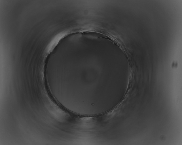 X0000091530054200708311319