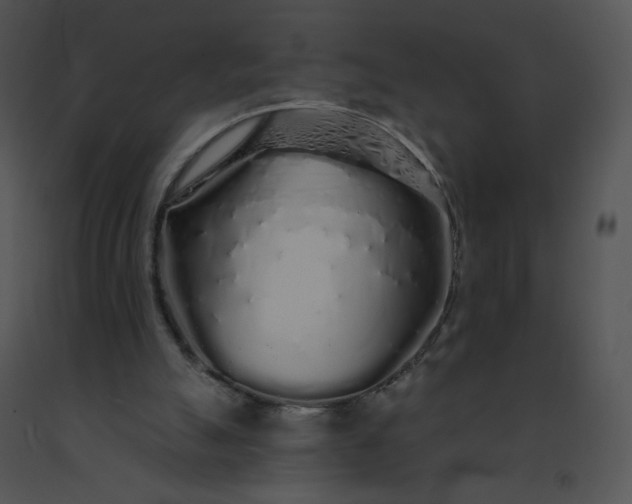 X0000091530055200708311319
