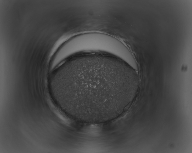 X0000091530056200708311319