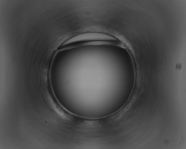 X0000091530057200708311319