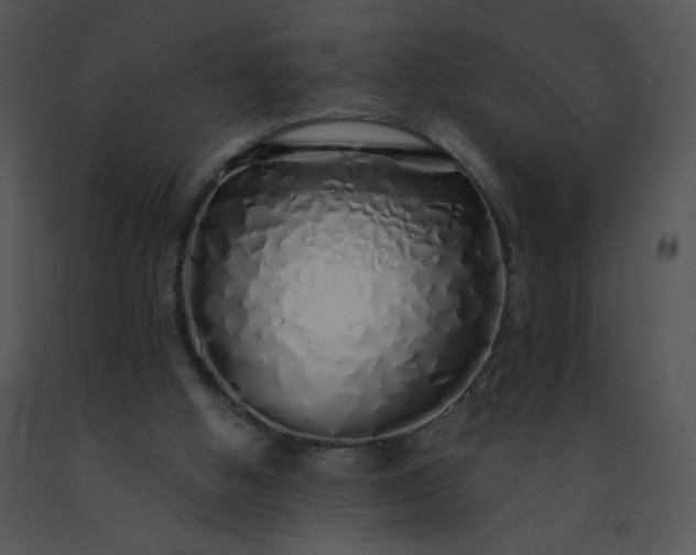 X0000091530058200708311319