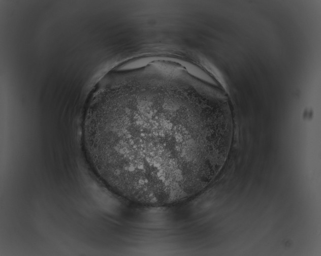 X0000091530059200708311319