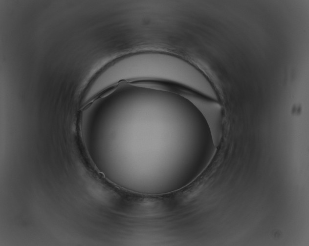 X0000091530060200708311319