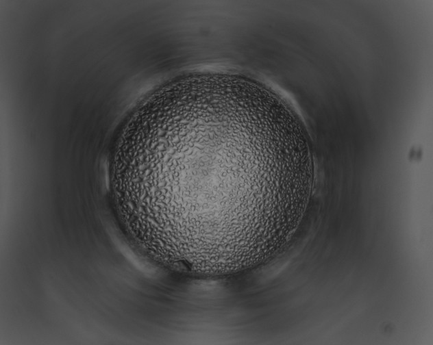 X0000091530061200708311319