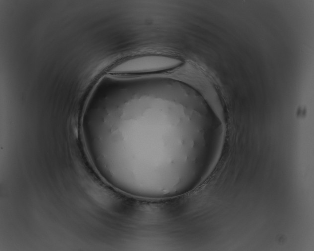 X0000091530062200708311319