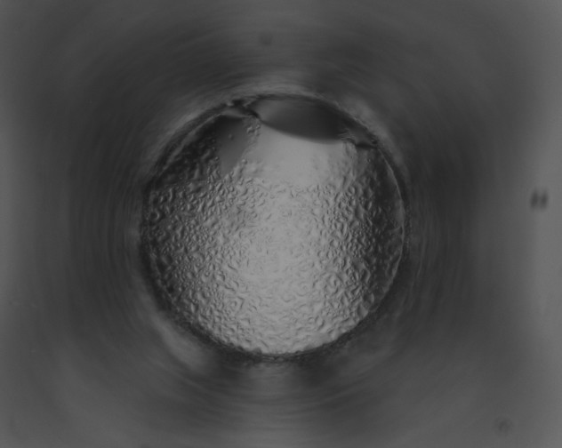 X0000091530063200708311319