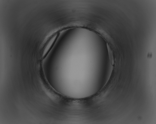 X0000091530064200708311319