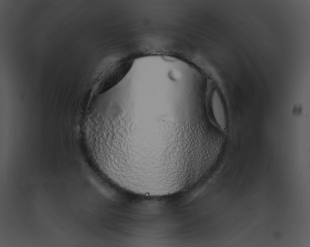 X0000091530065200708311319