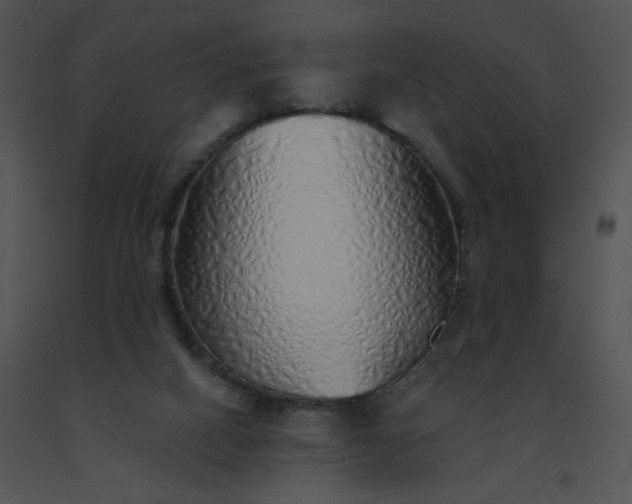 X0000091530066200708311319