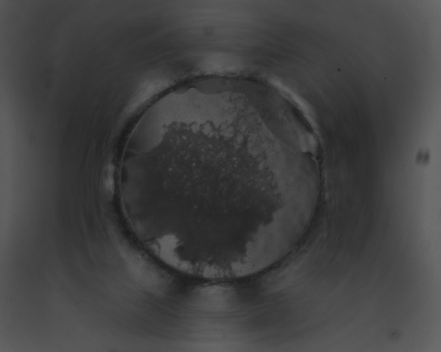 X0000091530067200708311319