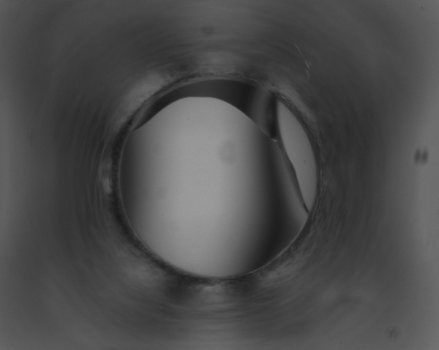 X0000091530068200708311319