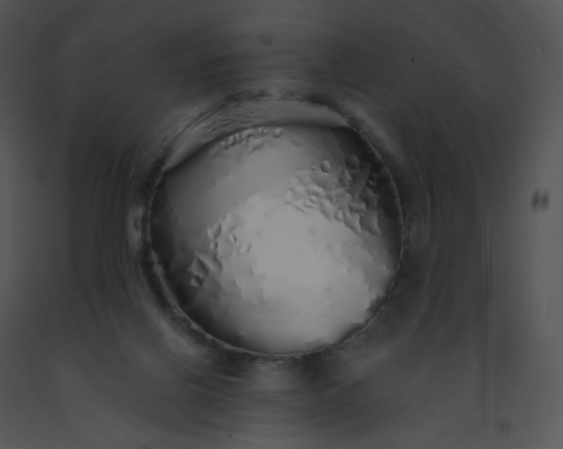 X0000091530070200708311319