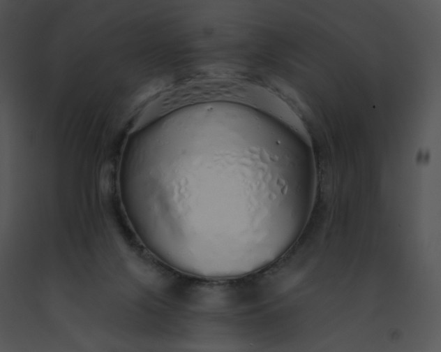 X0000091530071200708311319