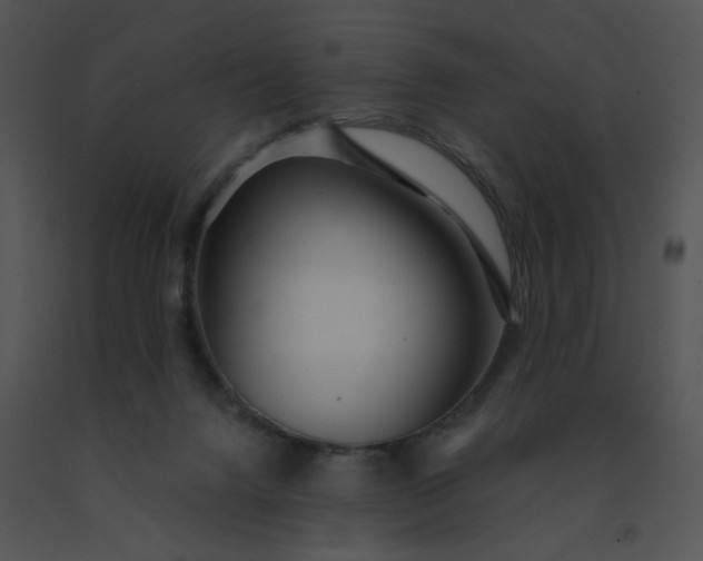 X0000091530072200708311319