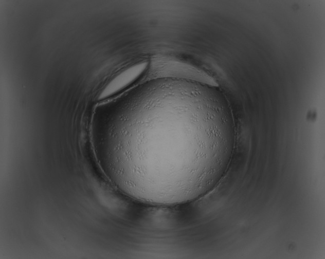 X0000091530074200708311319