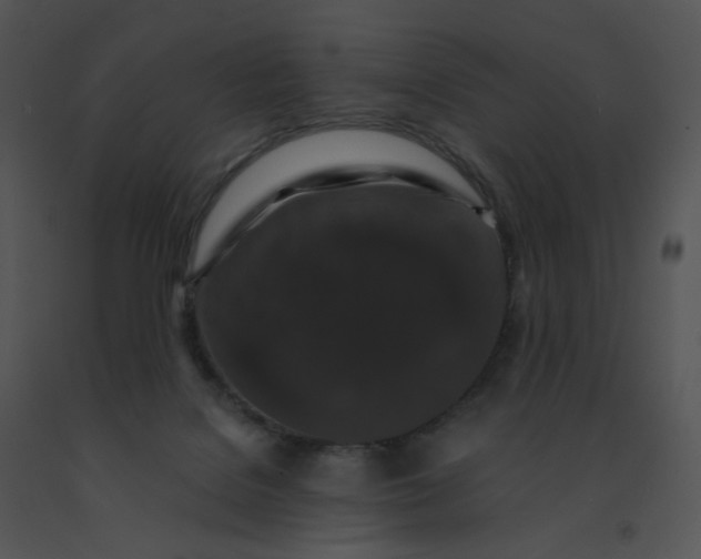 X0000091530076200708311319