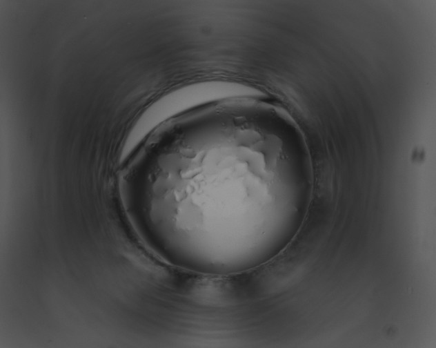 X0000091530077200708311319