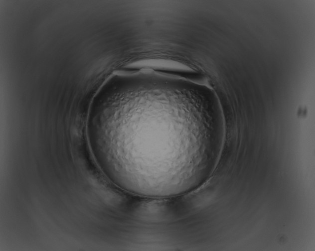 X0000091530078200708311319